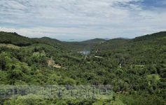 29,050 Sqm of Sea View Hillside Land, Maenam